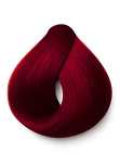 Hair Dye Shampoo - 1 Bottle