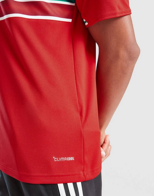 ADIDAS WALES 2026 HOME SHIRT JUNIOR