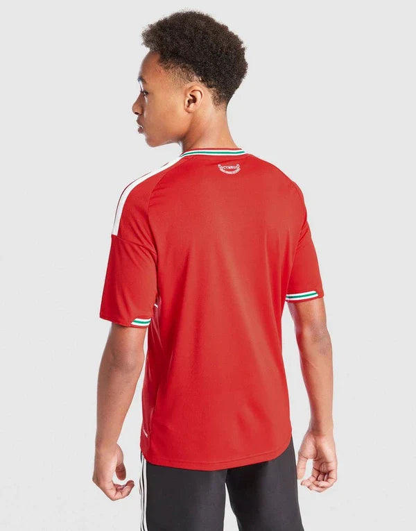 ADIDAS WALES 2026 HOME SHIRT JUNIOR